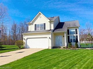 641 Tremain Pl, Medina, OH 44256-7140