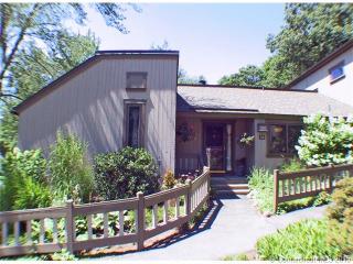 33 Great Meadow Ln, Farmington CT  exterior