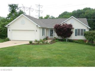 10314 Dayflower Dr, Twinsburg, OH 44087-3306