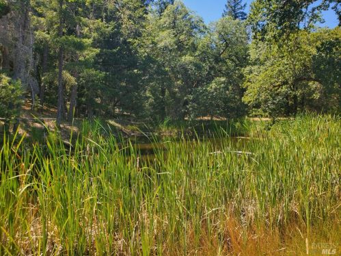 3440 Second Gate Rd, Willits CA  95490-5823 exterior