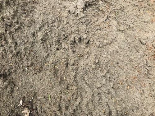 7912 Lawnys Cir, Alex MN  56308-9404 exterior