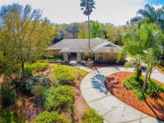 6703 Towhe Dr, Seffner, FL 33584-2413