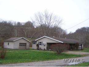 13 Billings Rd, Reedy, WV 25270-9409
