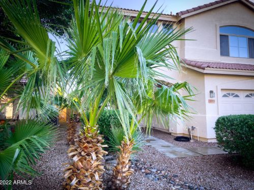 3853 Fallen Leaf Ln, Glendale, AZ 85310-3307