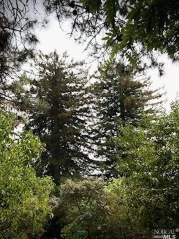 3431 Burnside Rd, Sebastopol CA  95472-9139 exterior