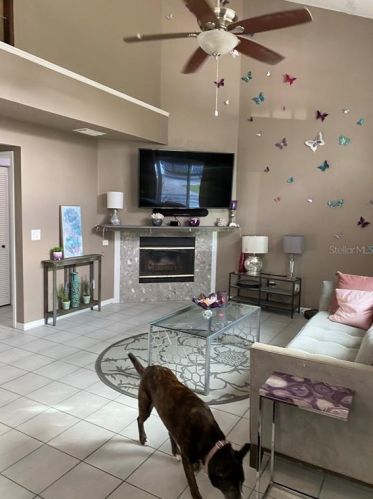 1150 17th St, Palm Harbor, FL 34683-3617