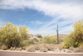 18278 Santa Alberta Ln, Goodyear, AZ 85338-5343