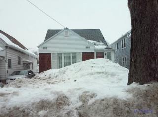 82 Whitehall Ave, Buffalo, NY 14220-2727