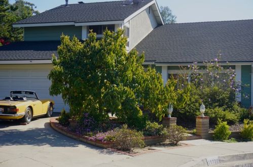 25722 Orchard Rim Ln, El Toro, CA 92630-2721