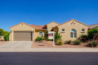 6925 Trenton Way, Florence, AZ 85132-6651