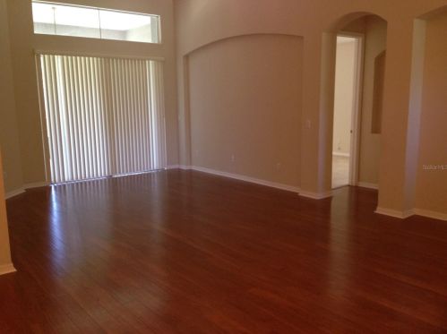 13407 Paloma Dr, Orlando, FL 32837-8733