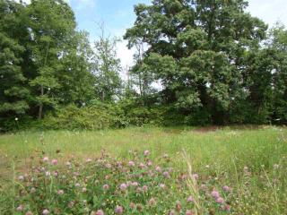 140 Jabez Dr, Medina, TN 38355-8807