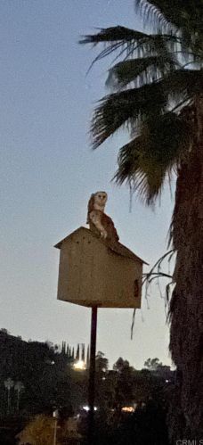 11712 Walnut Rd, Lakeside CA  92040-5625 exterior