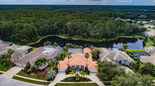 4561 Roanoak Way, Palm Harbor, FL 34685-3687