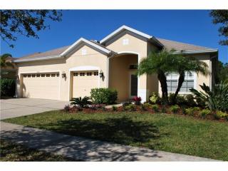 16427 Bridgewalk Dr, Lithia, FL 33547-4825