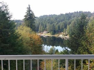 18315 Spring Lake Dr, Seattle, WA 98058-0616