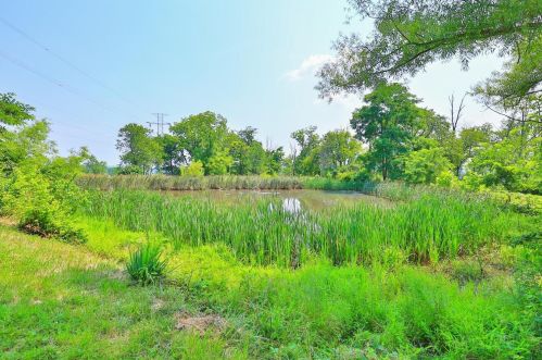 10337 Paddys Run Rd, New Haven OH  45030-9709 exterior