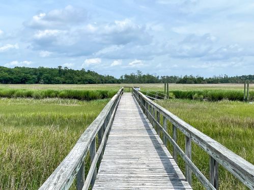 96 Salty Tide Cv, Mount Pleasant SC  29464-7925 exterior