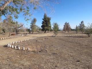 4648 Rancho Rd, Phelan, CA 92371-8100