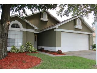 1542 Chepacket St, Brandon, FL 33511-1863