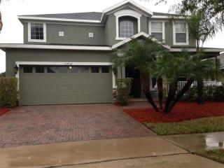 13932 Budworth Cir, Orlando, FL 32832-6118
