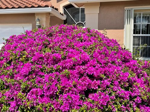 7611 Viniste Dr, Boynton Beach, FL 33472-7395