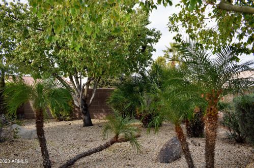 15780 Alpine Ridge Dr, Sun City AZ  85374-2193 exterior