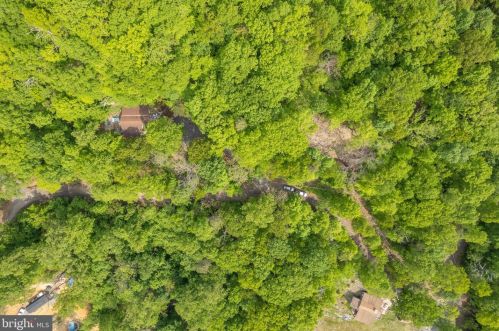 738 Forest Drive Ext, Richmond National Battlefiel VA  22835-5901 exterior