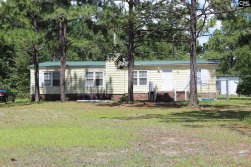 138 Jennings Rd, Pelion, SC 29123-9450