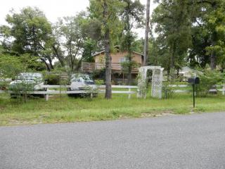 8265 164th Pl, Summerfield, FL 34491-7023