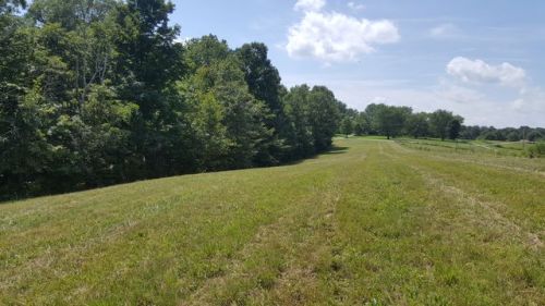 2059 Owl Hollow Rd, Youngs Creek, IN 47454-9734