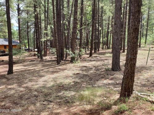 123 Sky Hi Dr, Pinetop AZ  85935-8802 exterior