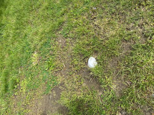 630 Josiah Morris Rd, London OH  43140-9344 exterior