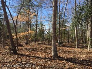 117 Birkdale, Williamsburg VA  23188 exterior