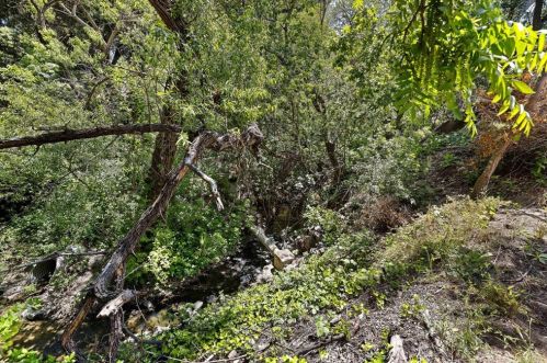 1223 Whispering Oaks Dr, Danville CA  94506-5840 exterior