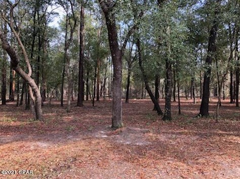 3278 Quail Ridge Dr, Sunny Hills FL  32428-5673 exterior