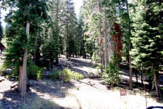 1772 Grouse Rdg, Truckee, CA 96161-4026