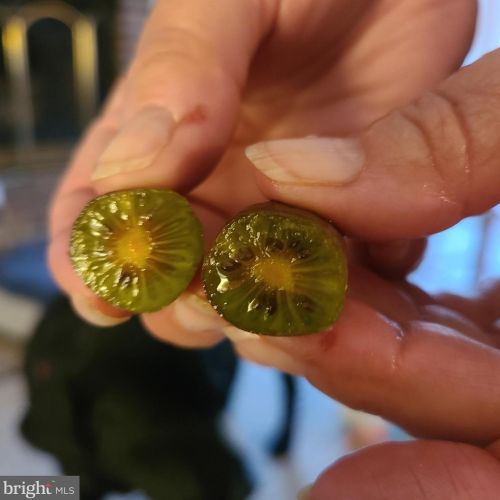 1139 Wilson Ave, Glen Mills PA  19342-9610 exterior