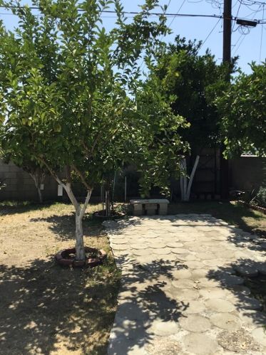 6438 Camellia Ave, North Hollywood CA  91606-2611 exterior