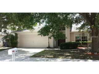 2003 Goldendale Ct, Brandon, FL 33511-2300