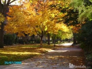 2203 22nd St, Minneapolis MN  55404-3174 exterior