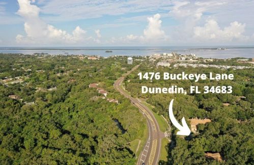 1476 Buckeye Ln, Palm Harbor, FL 34683-6504