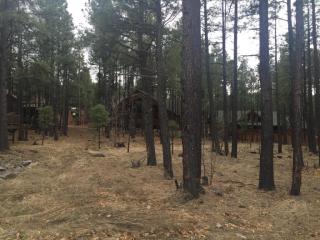 8489 Pine Wood Dr, Pinetop, AZ