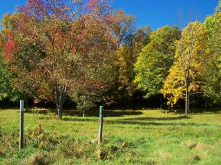 62 Clinton Dr, Factoryville, PA 18419-2608