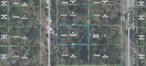 112 Hypoloxo Dr, Florahome FL  32140-0015 exterior