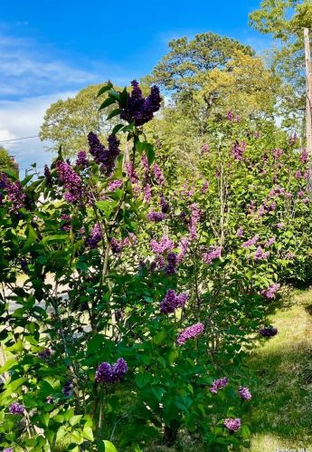 305 Bayberry Rd, Southold NY  11971-4436 exterior