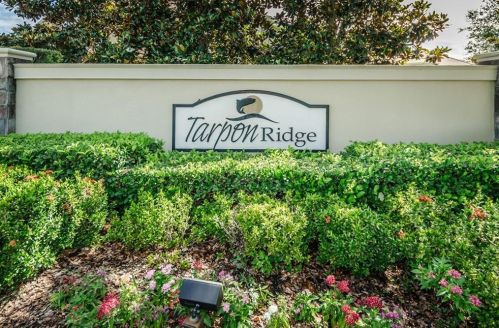 2523 Tranquility Dr, Palm Harbor, FL 34684-1062