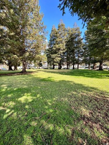 3715 Northwood Dr, Concord CA  94520-4596 exterior