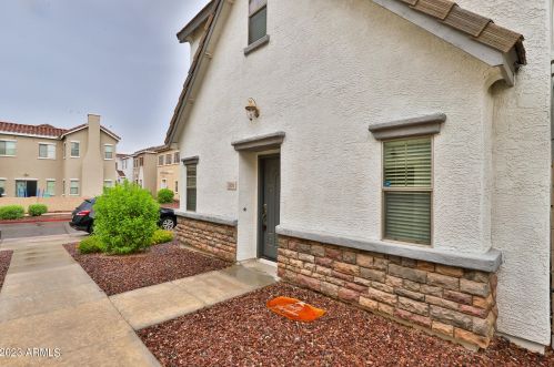 501 Citrus Ln, Gilbert AZ  85234-7832 exterior