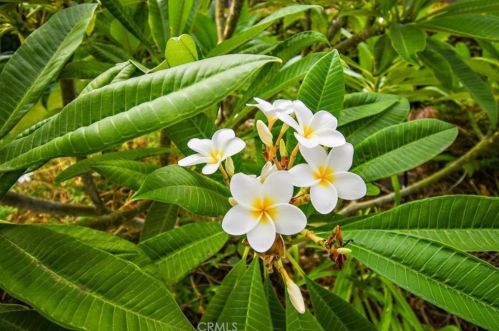 8403 Catalina Ave, Whittier CA 90605-1104 exterior